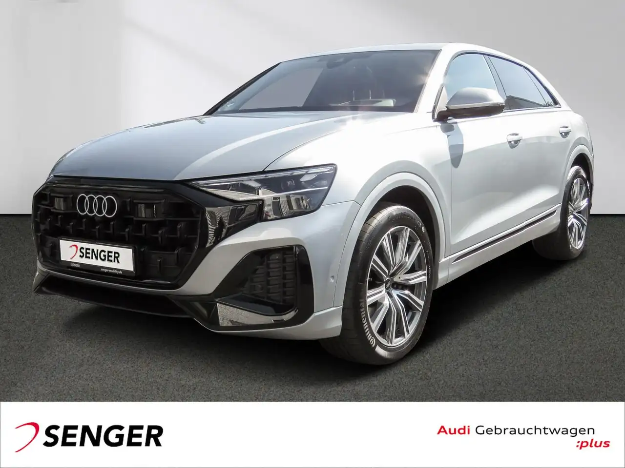 Audi Q8 50 TDI quattro Matrix Panorama ACC Park-Ass. — photo 1 of 8