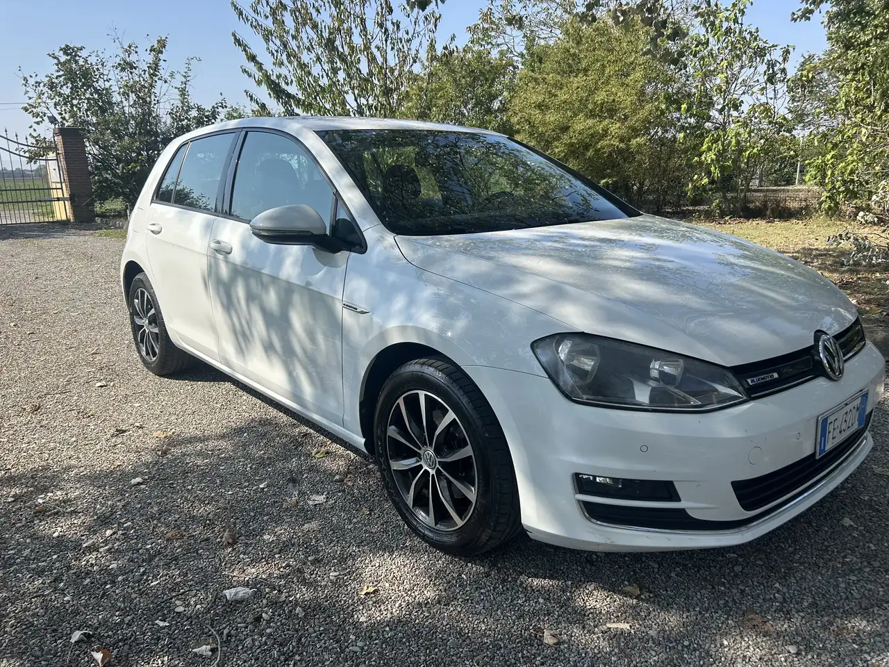 Volkswagen Golf 5p 1.4 tgi Highline Executive (business) dsg — photo 1 of 10