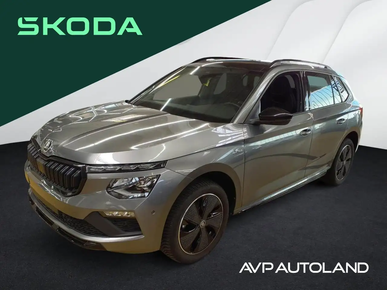Skoda Kamiq 1.5 TSI DSG Monte Carlo | PANO | LED | AHK — photo 1 of 5