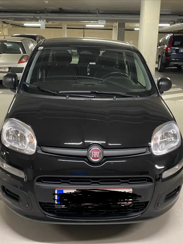 Fiat Pandina Pandina FireFly Hybrid 70 Icon Icon — photo 1 of 4