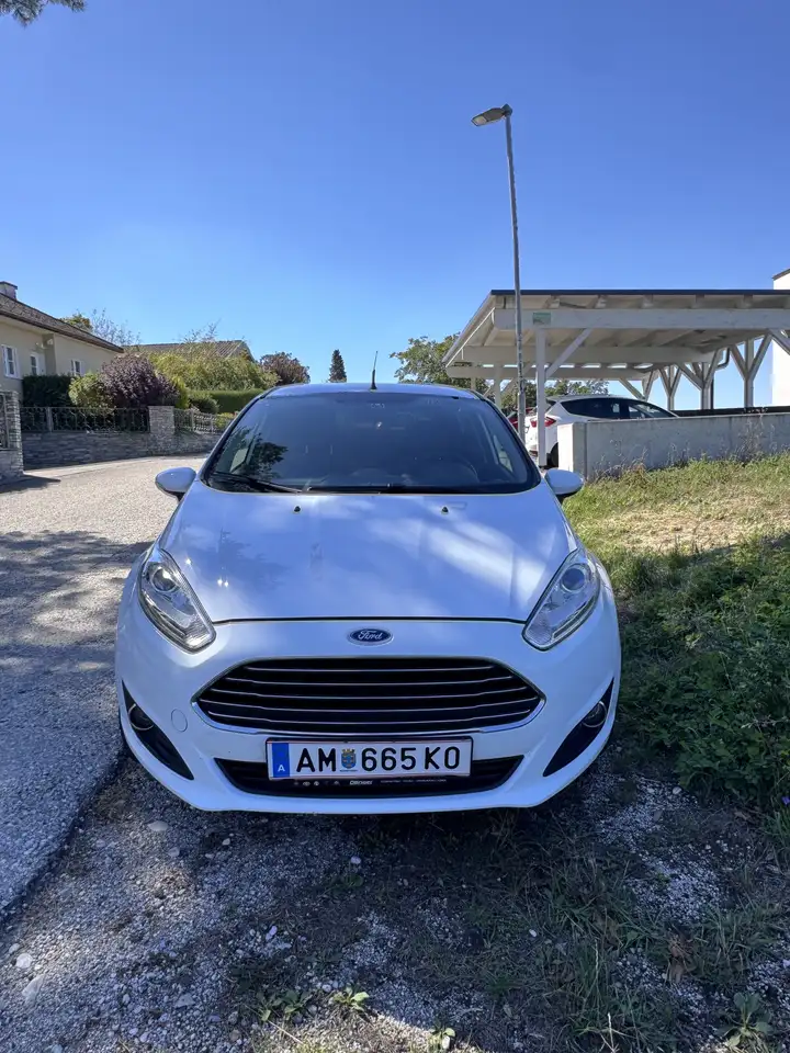 Ford Fiesta Trend 1,25 — photo 1 of 8