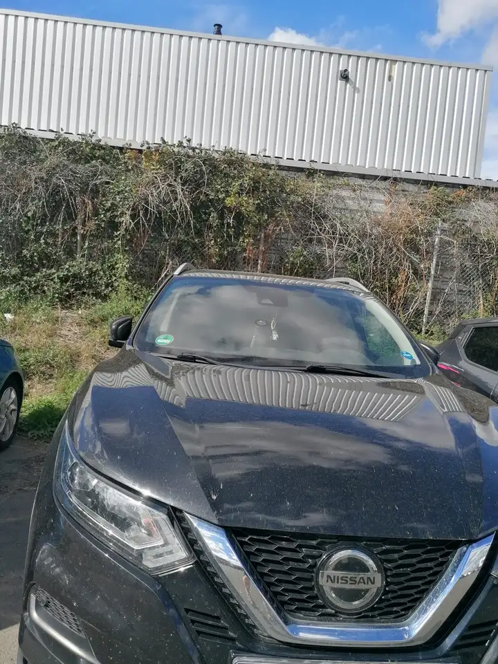 Nissan Qashqai Visia — photo 1 of 12