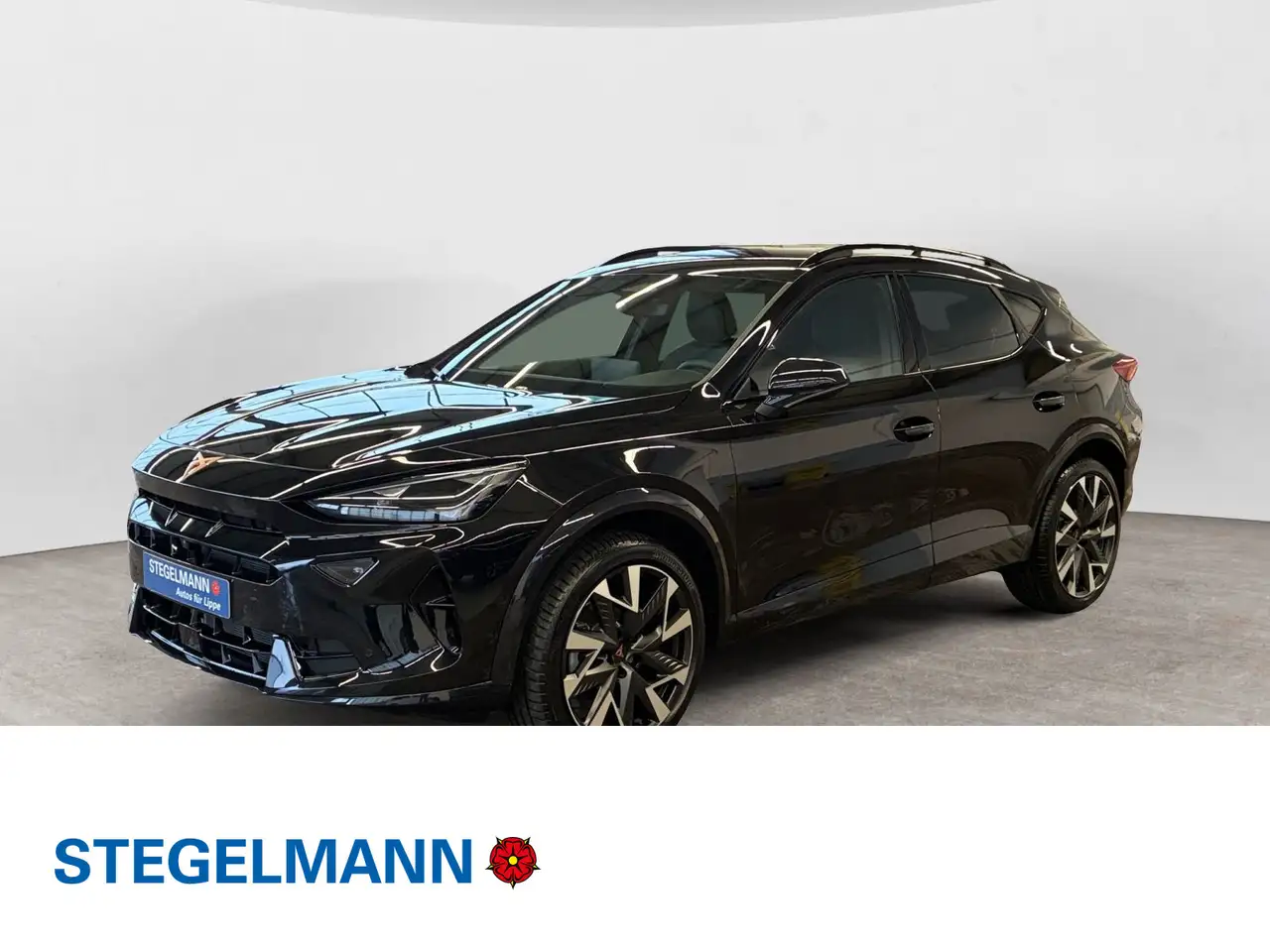 CUPRA Formentor 1.5 TSI DSG 19" AHK Matrix LED Top Vie — photo 1 of 16