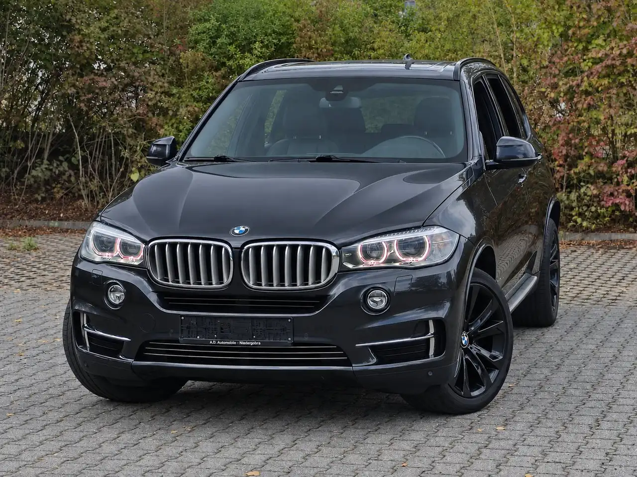 BMW X5 xDrive 30d F15 – Pano / Kamera / Kurvenlicht / Leder Memory / 20 Zoll — photo 1 of 15