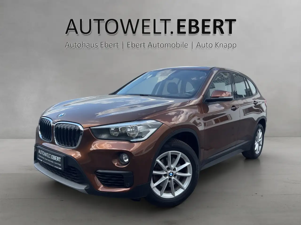 BMW X1 sDrive 18i Advantage/PDC/SHZ/NAVI/ — photo 1 of 14