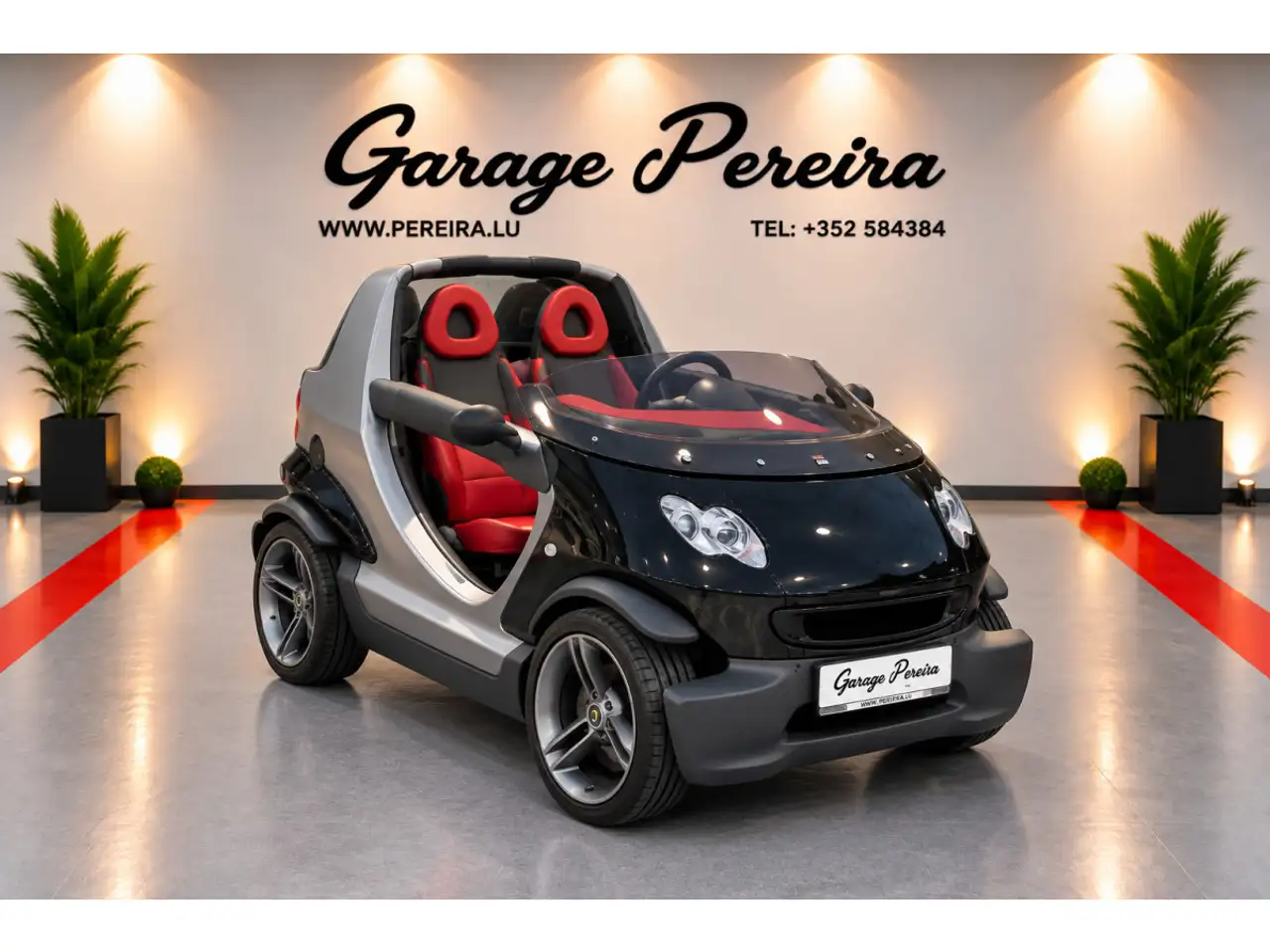 smart crossblade Smart Crossblade Limit Edition N°1859 de 2000 — photo 1 of 8