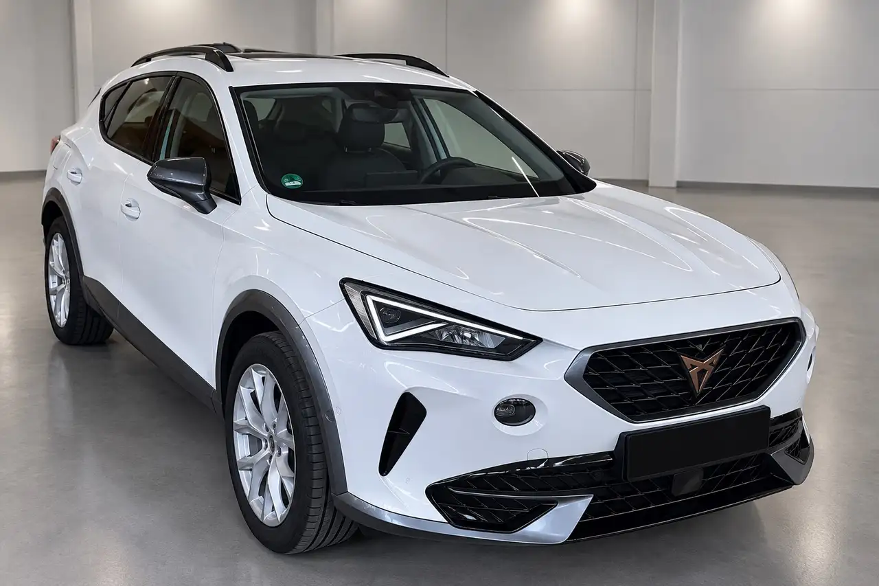 CUPRA Formentor 1,4 e-Hybrid 204 DSG |LED|PDC|LEDER — photo 1 of 7