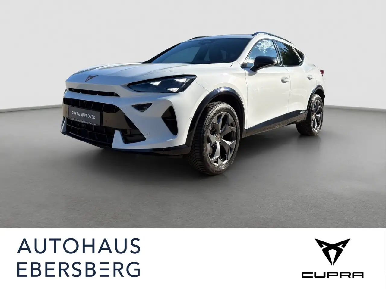 CUPRA Formentor 1.5eTSI Navi Kamera Keyless SHZ LHZ StauAssi. — photo 1 of 16