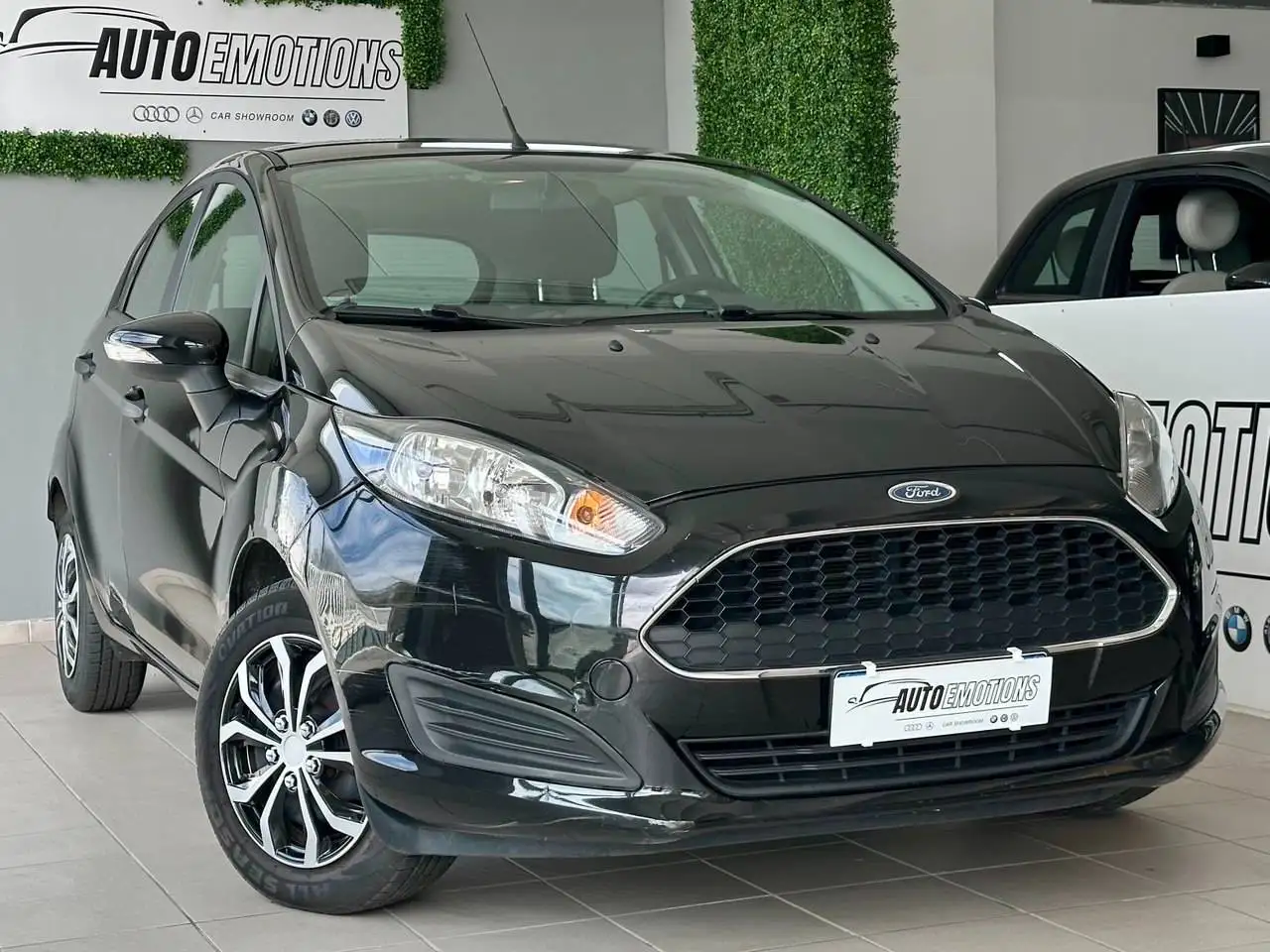 Ford Fiesta - 1. 2 | 60 CV - Distribuzione Eseguita — photo 1 of 22