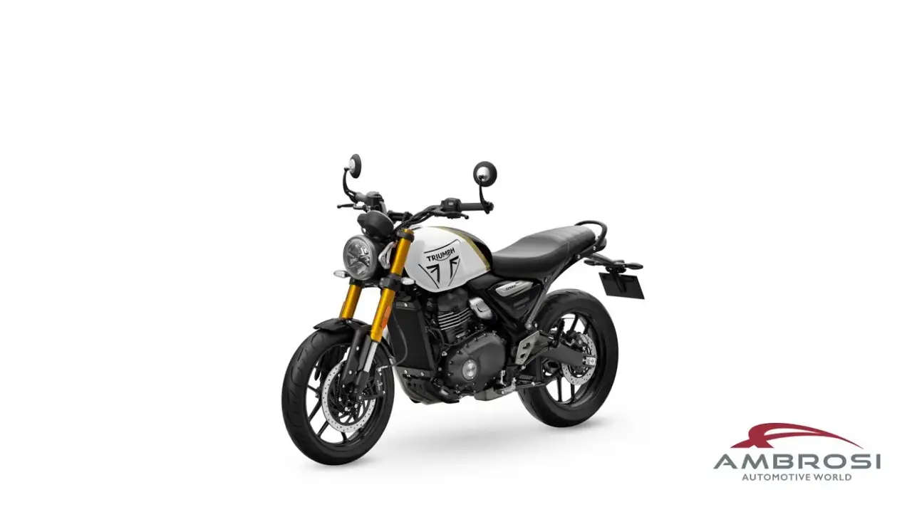 Triumph 2025MY — photo 1 of 4