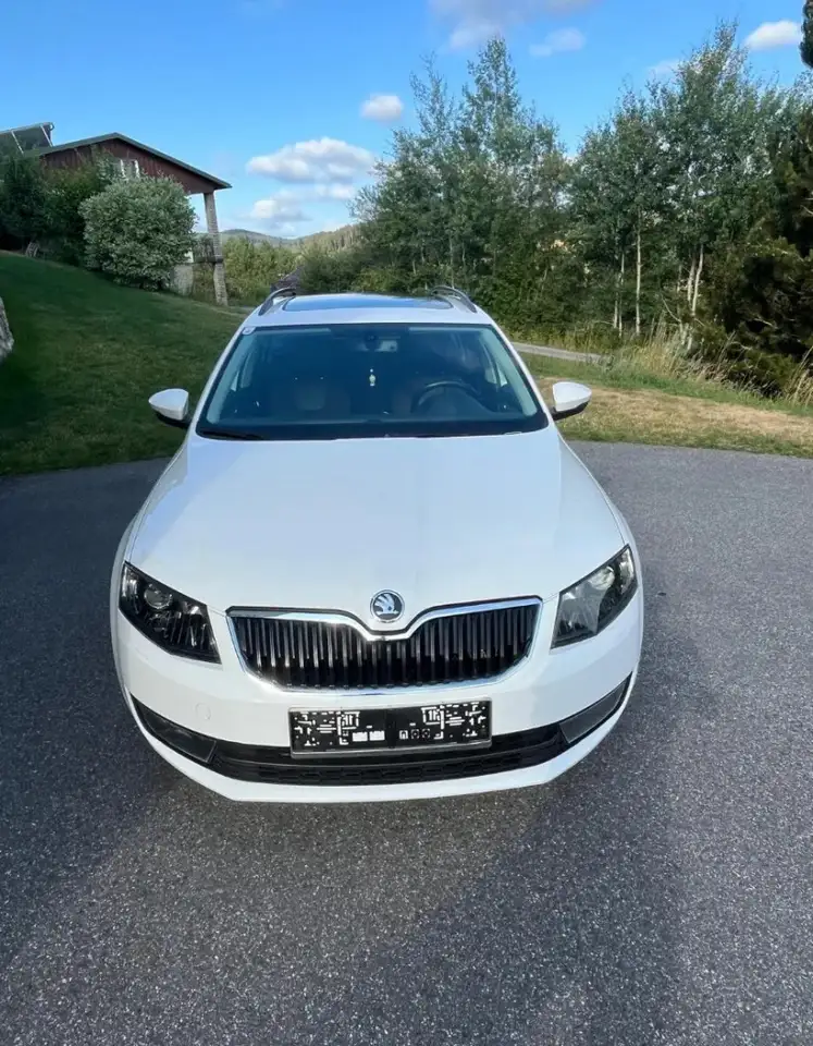 Skoda Octavia 2.0 TDI Combi — photo 1 of 16