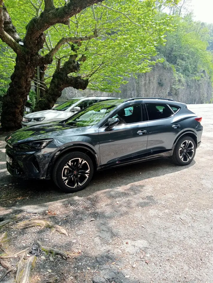 CUPRA Formentor 1.5 hybrid 150cv dsg — photo 1 of 7