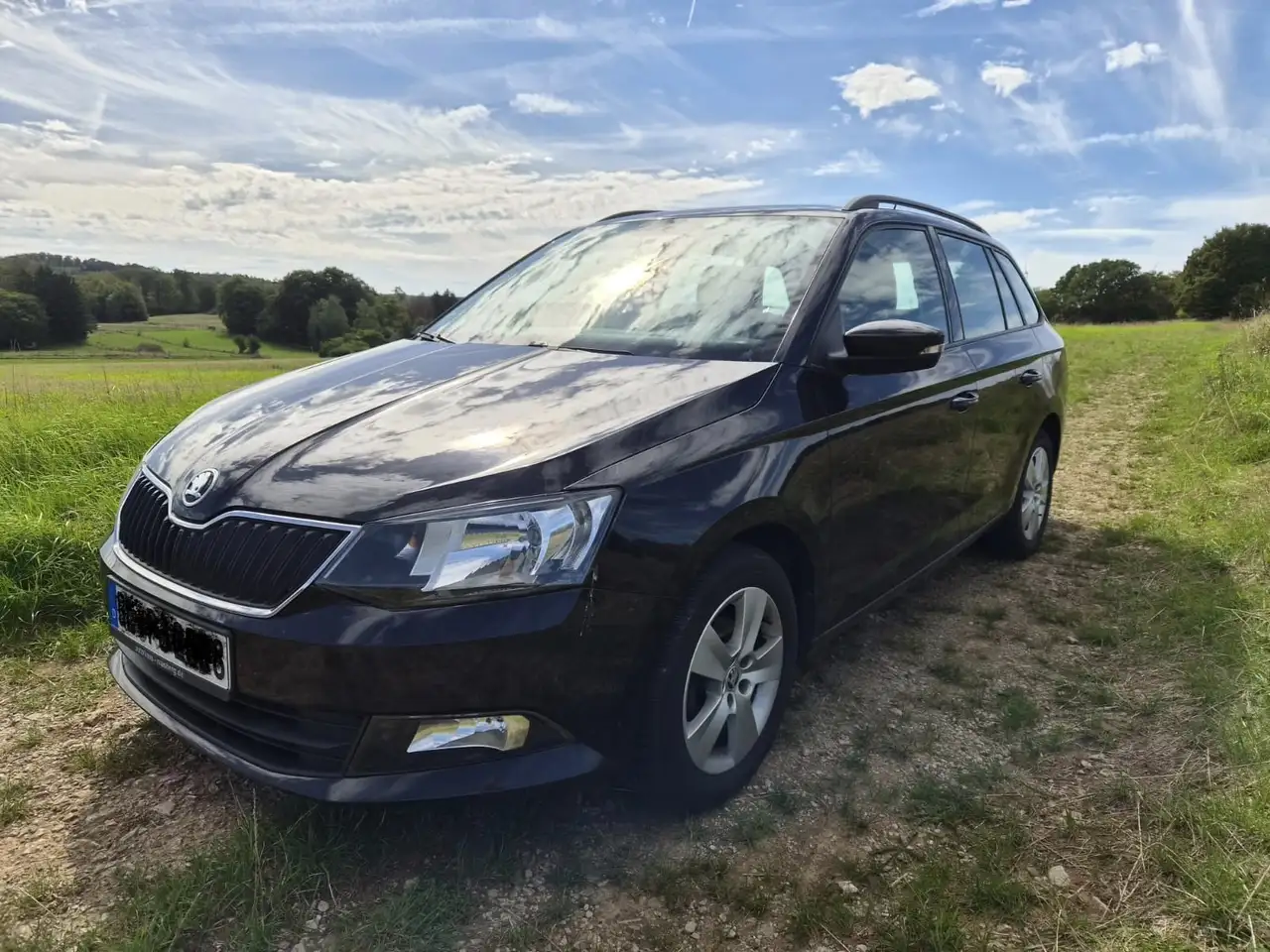 Skoda Fabia Ambition — photo 1 of 11