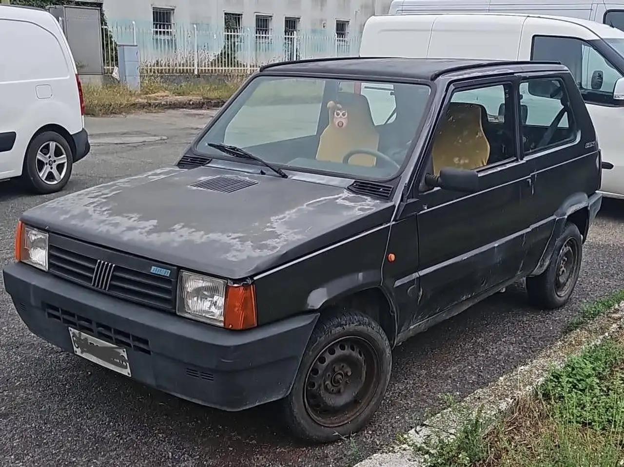 Fiat Panda Panda 1.0 CL Davignon cat. — photo 1 of 3