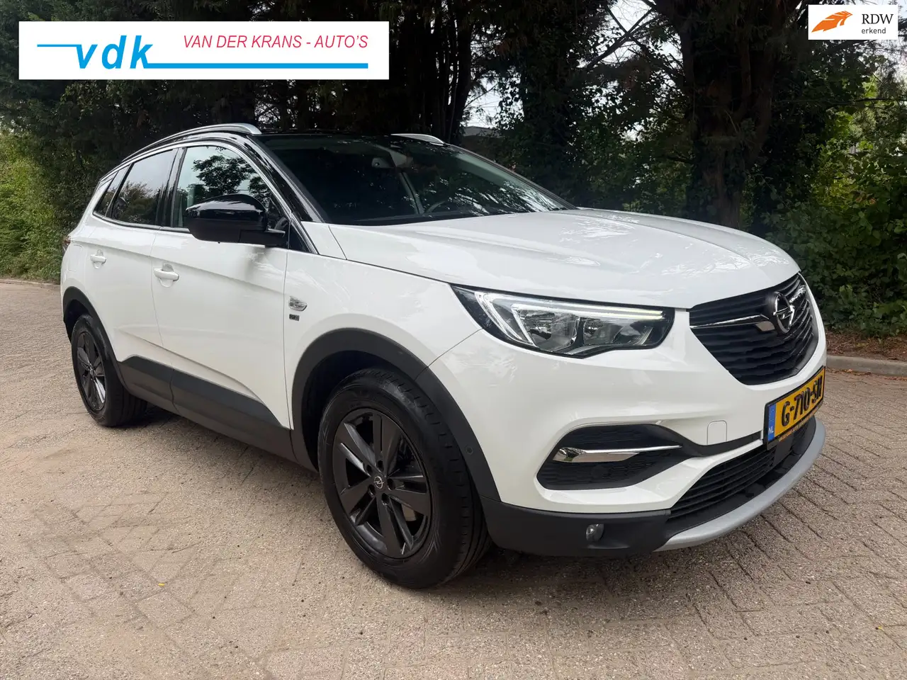 Opel Grandland X 1.2 Turbo 120 Jaar Edition Automaat — photo 1 of 19