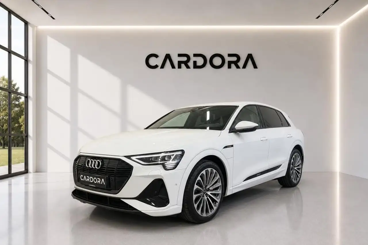 Audi e-tron 55 quattro S line Matrix*Leder*RADAR*PANO*ASSISTE — photo 1 of 27