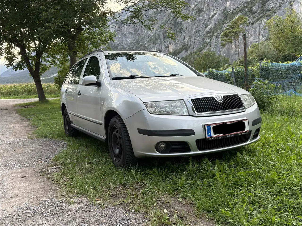 Skoda Fabia Luca 1,4 TDI PD — photo 1 of 11