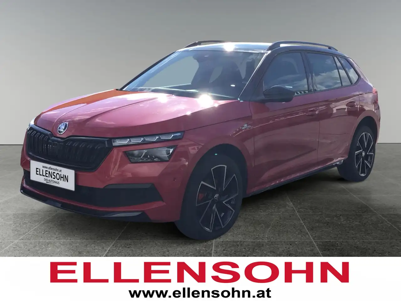 Skoda Kamiq 1,0 TSI Monte Carlo DSG 8-fach bereift! Navi! — photo 1 of 24
