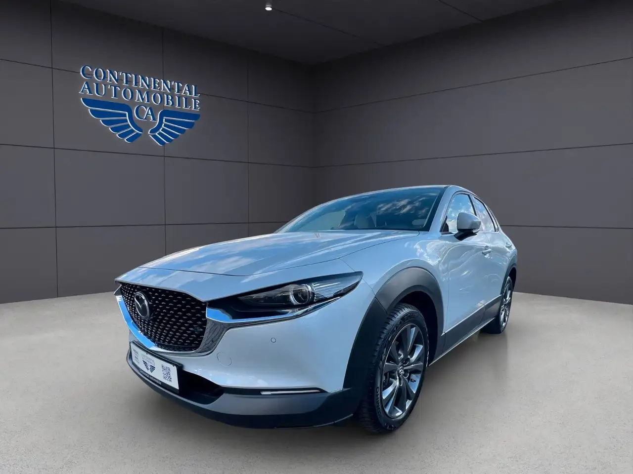 Mazda CX-3 0 Allrad,BHL,EHCKKLAPPE,NAVI,LEDER,ELS,H-UPD — photo 1 of 19