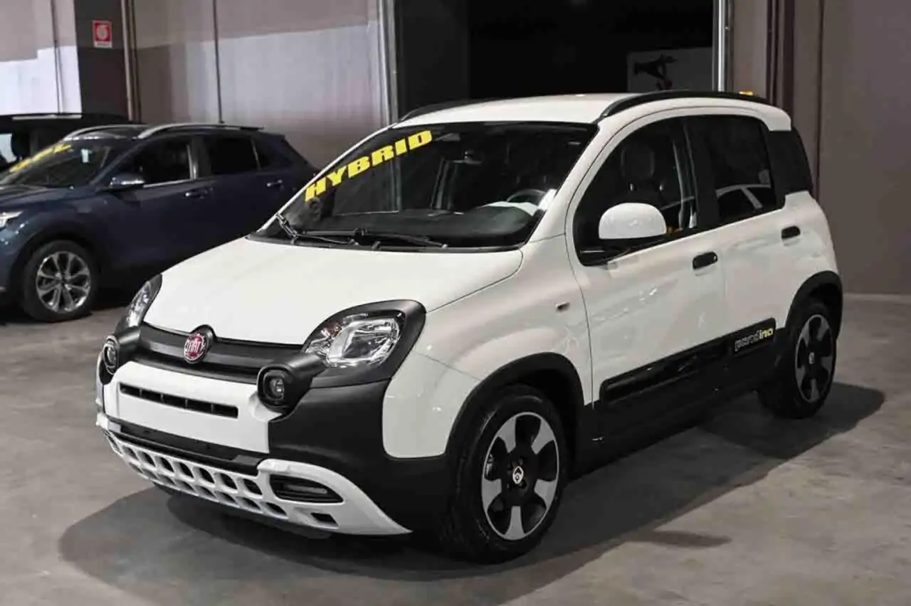 Fiat Panda 1.0 FireFly S&S GPL Cross — photo 1 of 15
