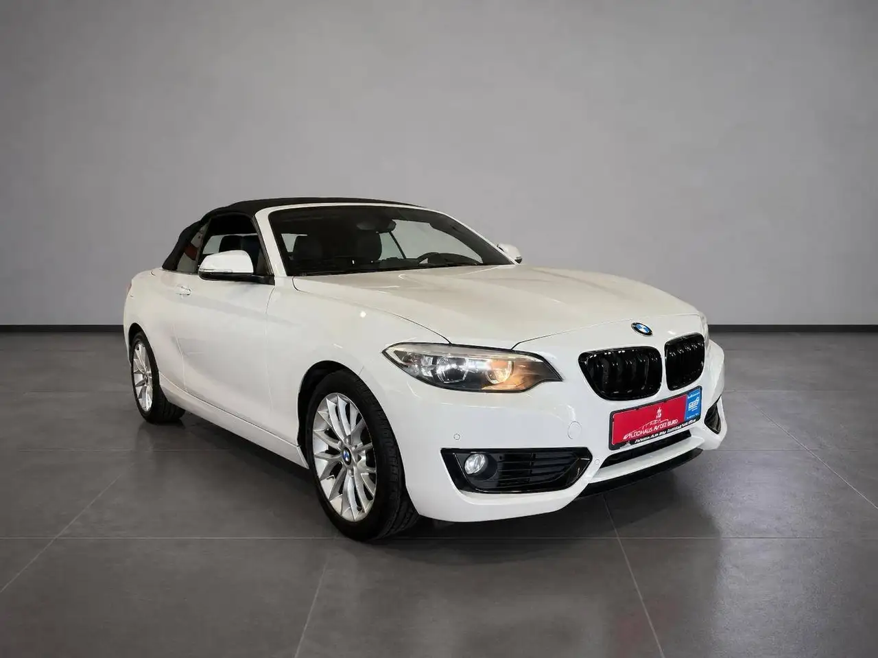 BMW 228 228i Cabrio//Autom//Kamera//Memory// — photo 1 of 24