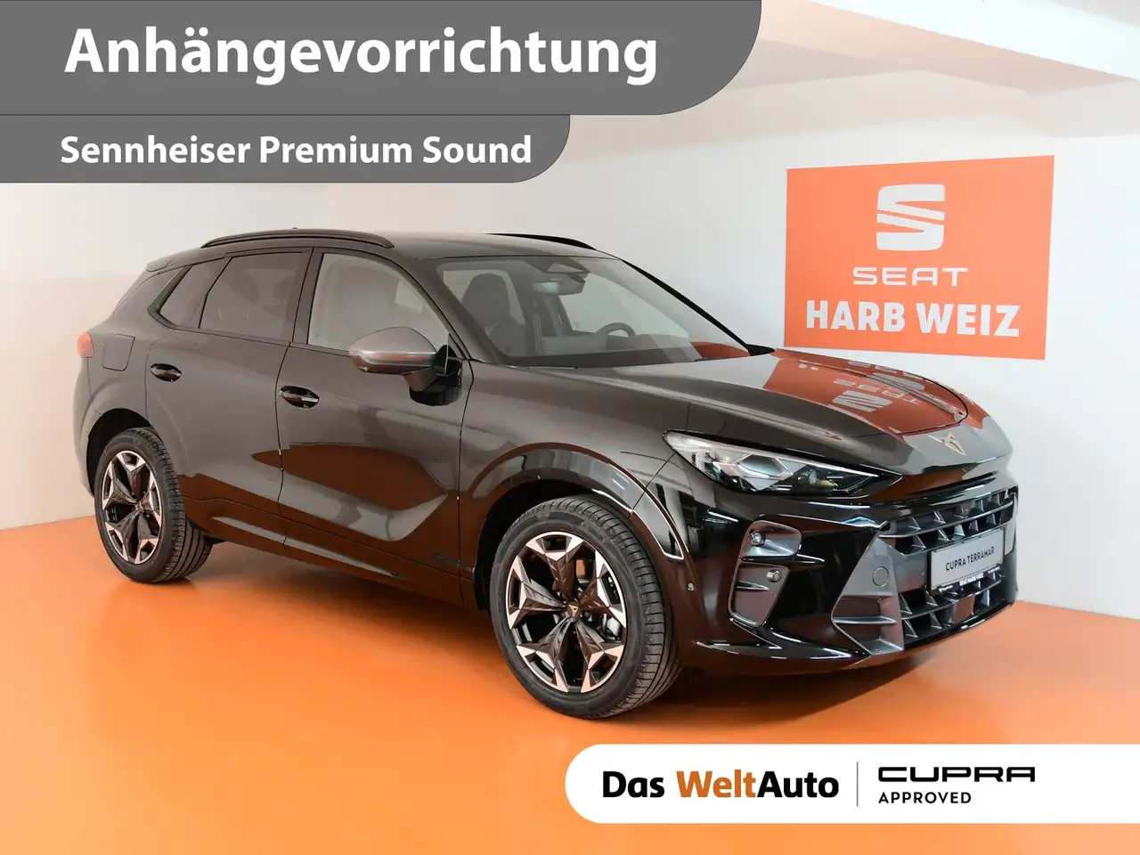 CUPRA Terramar 1.5 e-TSI 150 PS DSG — photo 1 of 18