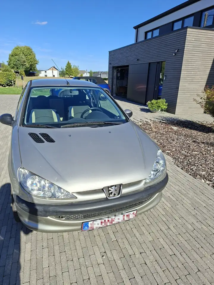 Peugeot 206 1.1i X-Line — photo 1 of 8