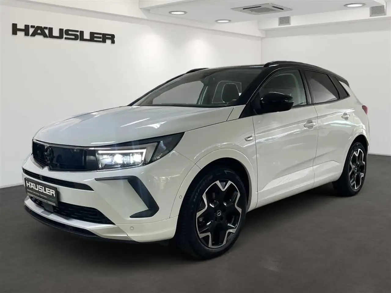 Opel Grandland X Ultimate 1.2 Navi SHZ PDC Alcantara — photo 1 of 20