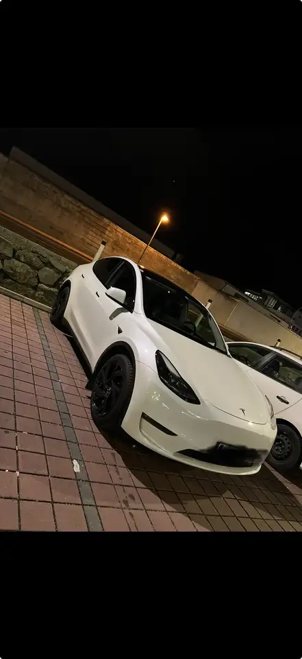 Tesla Model Y Long Range AWD 79kWh — photo 1 of 7