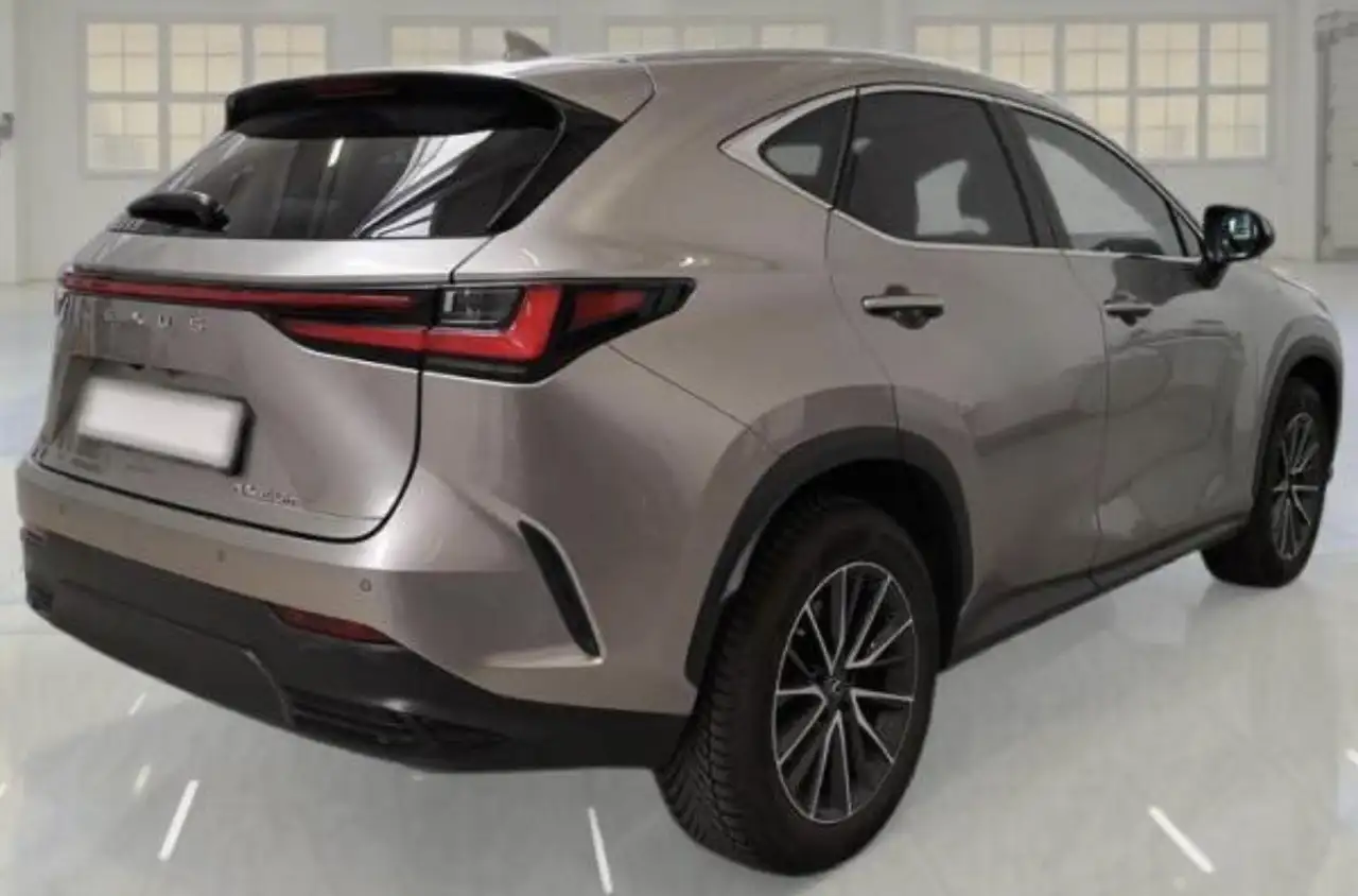 2022 Lexus NX 350h 2.5 Premium+ 4wd 244cv e-cvt, photograph 2