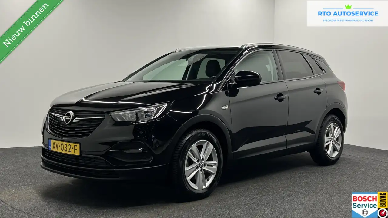Opel Grandland X 1.2 Turbo 120 Jaar Edition NAVI CRUISE CAMERA CARP — photo 1 of 40