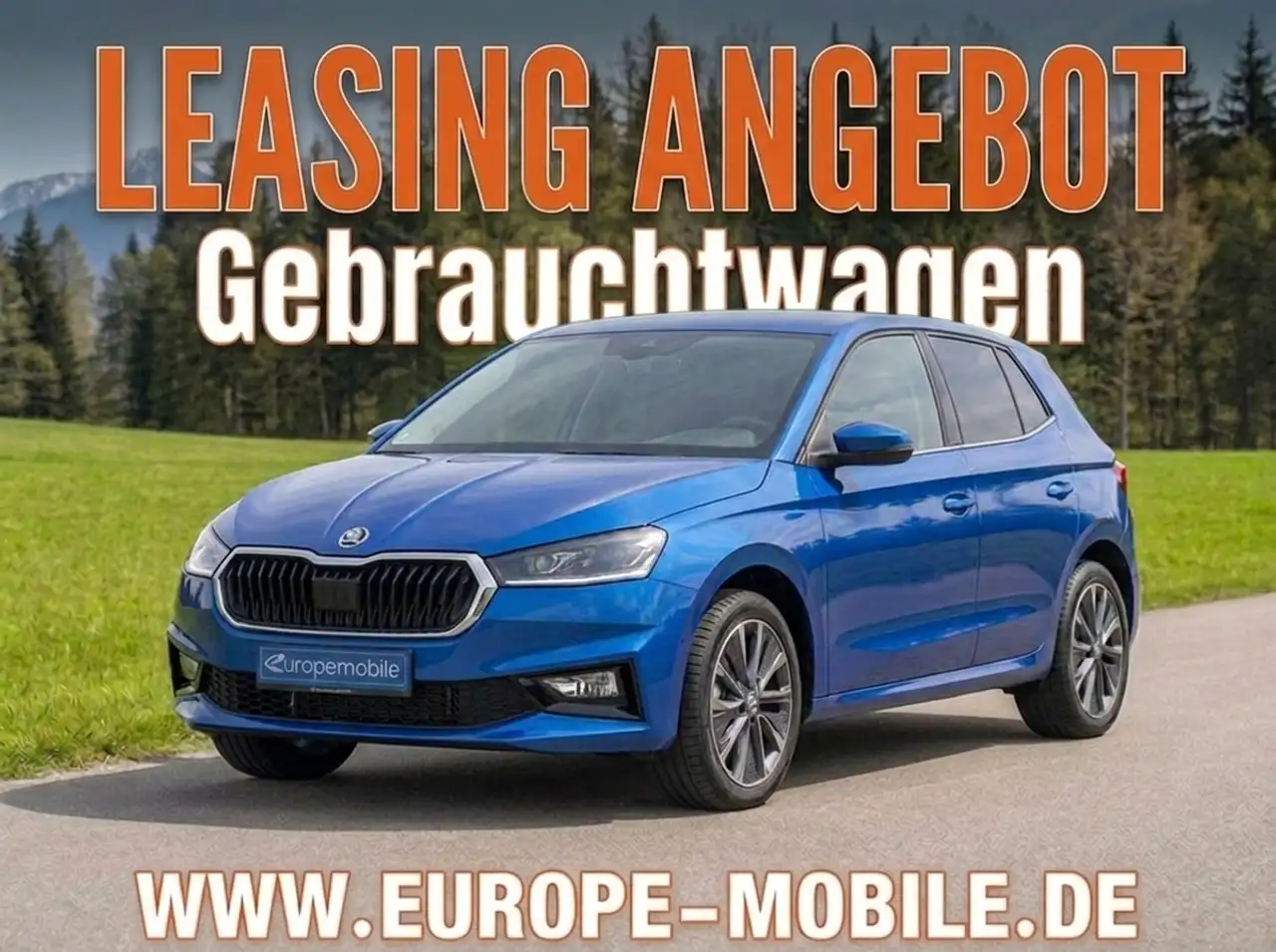 Skoda Fabia Style 1.0 TSI 110 Dynamic (Gebraucht) |NAV|KAM|VIR — photo 1 of 9
