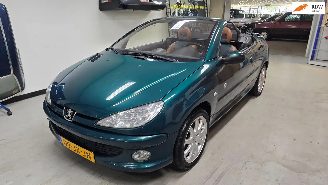 Peugeot 206 CC 2.0-16V Roland Garros — photo 1 of 13