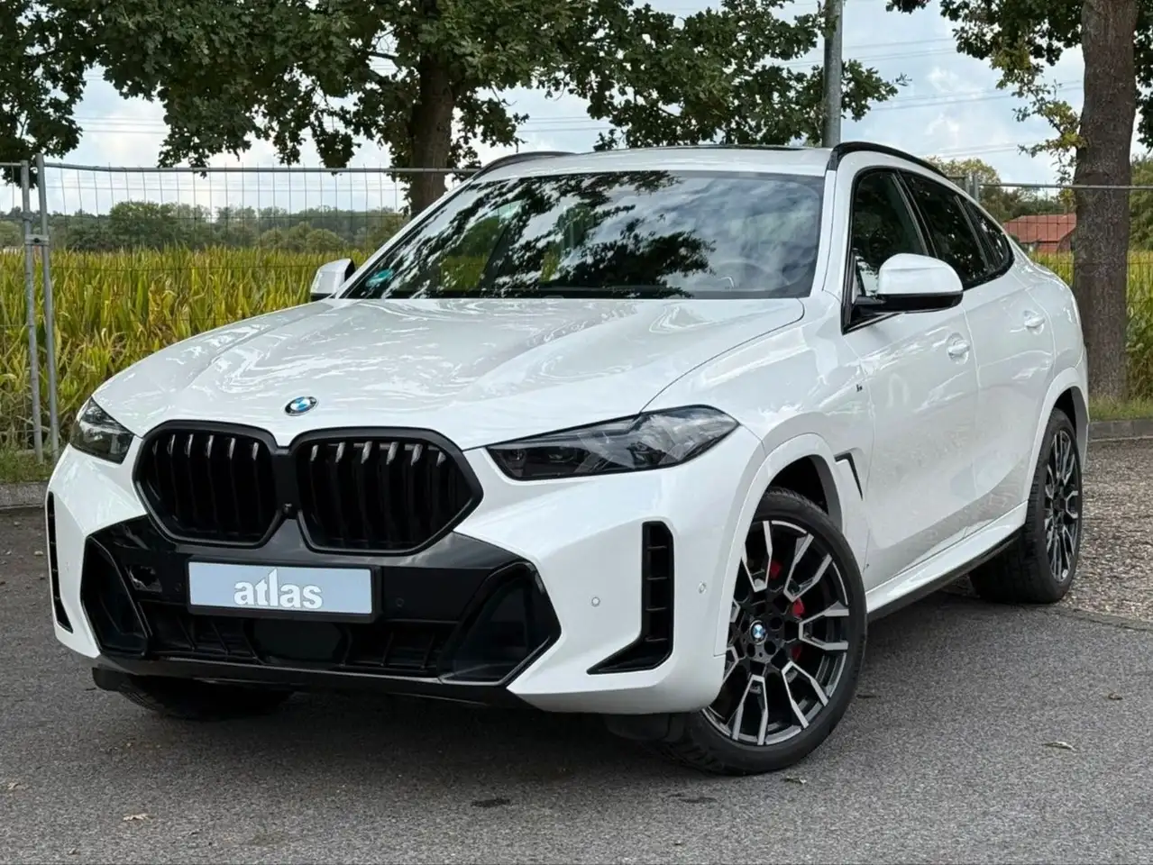 BMW X6 30d xDrive M Sport VOLL*Pano*Sthz*Luft*Mass — photo 1 of 40