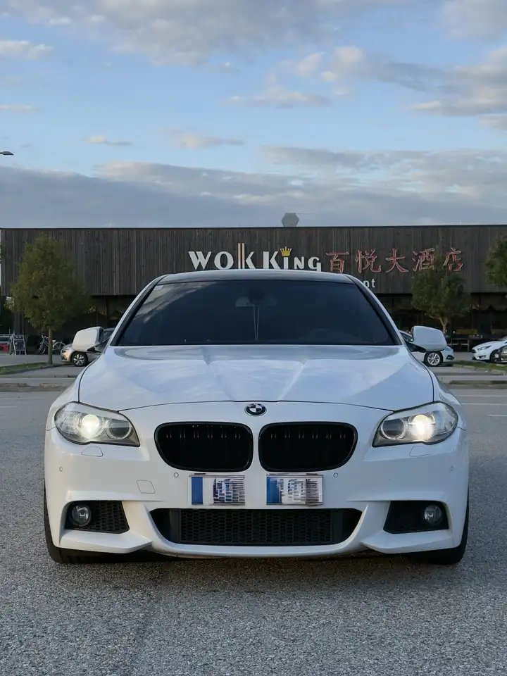BMW 525 525d Aut. — photo 1 of 7