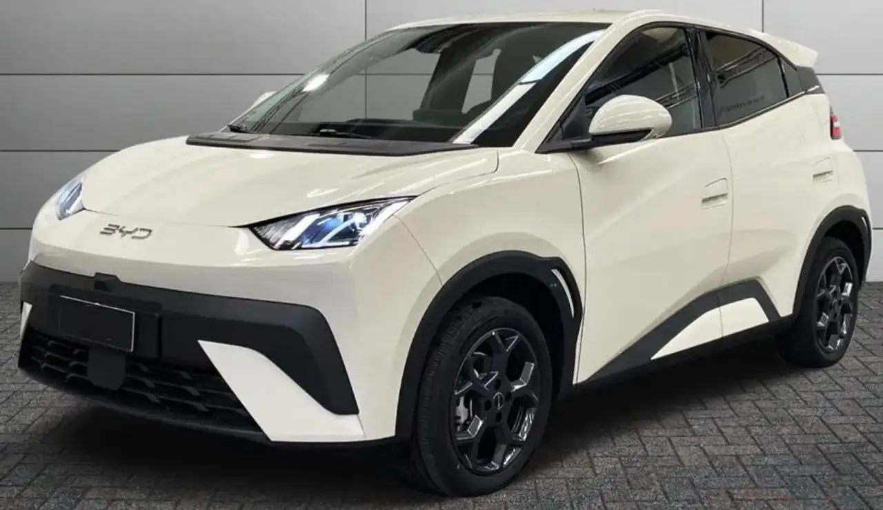 BYD Dolphin Surf 43,2 kWh Comfort — photo 1 of 14