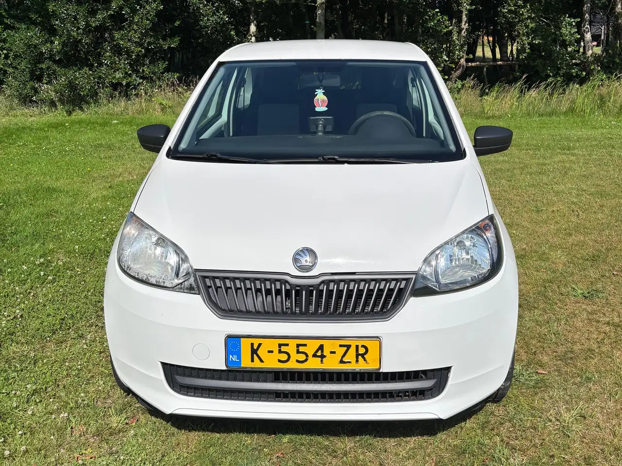 Skoda Citigo Citigo 1.0 CNG Grt. Active — photo 1 of 18