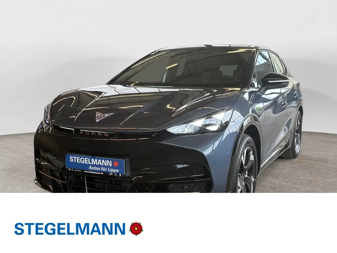 CUPRA Tavascan Ganzjahresreifen Wärmepume Navi — photo 1 of 16