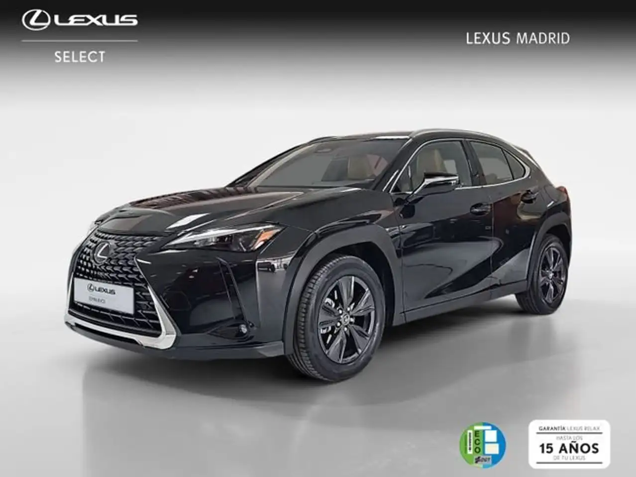 Lexus UX 300h 2.0 Plus — photo 1 of 40