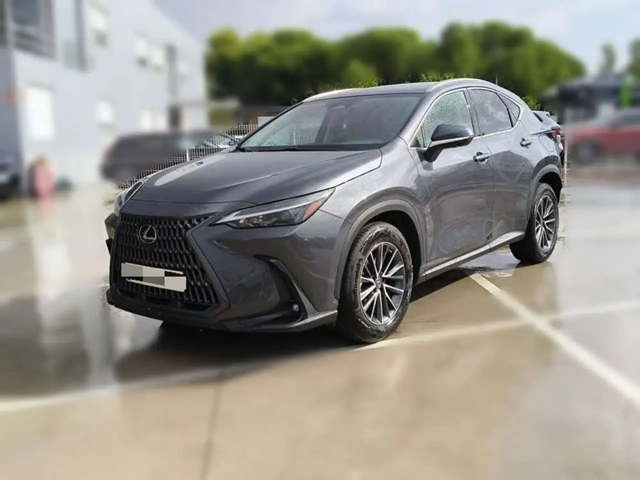 Lexus NX 350h Executive — photo 1 of 27