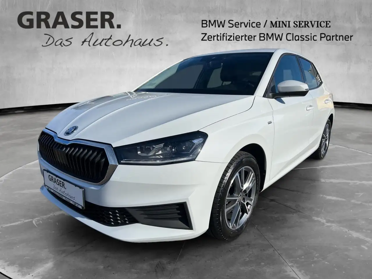Skoda Fabia TSI Tour DAB Tempomat Navi LED Shz — photo 1 of 34
