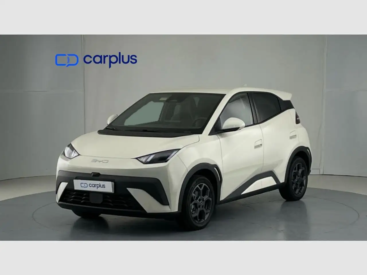 BYD Dolphin Surf Comfort 220kW — photo 1 of 40
