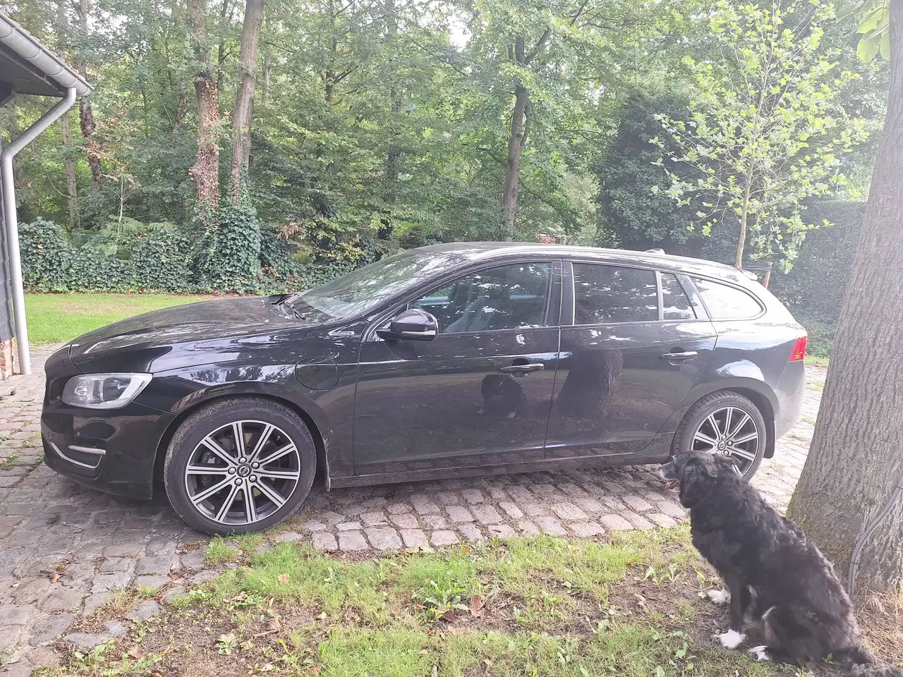 Volvo V60 V60 2.4 D5 4WD TE PHEV Momentum — photo 1 of 13