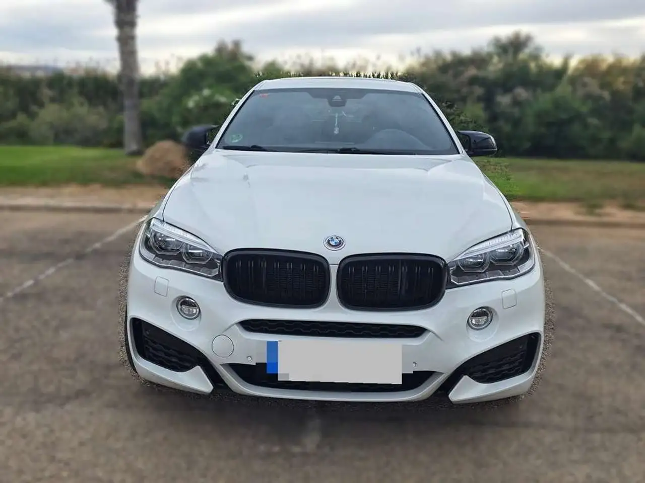 BMW X6 xDrive30d — photo 1 of 15