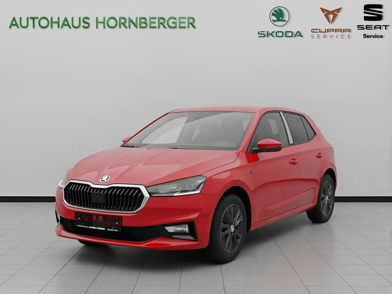 Skoda Fabia Tour 1.0TSI 115PS Kamera Tempomat 16" Alufelgen PDC vorne u. hinten Fernlichtassistent CarPlay LED Lane Assist Fah — photo 1 of 22