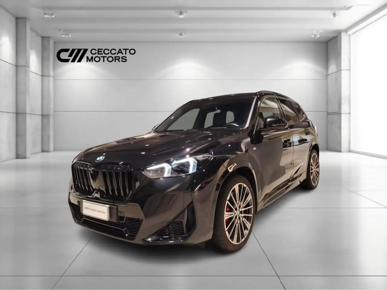 BMW X1 sdrive20i mhev 48V MSport Pro auto — photo 1 of 15