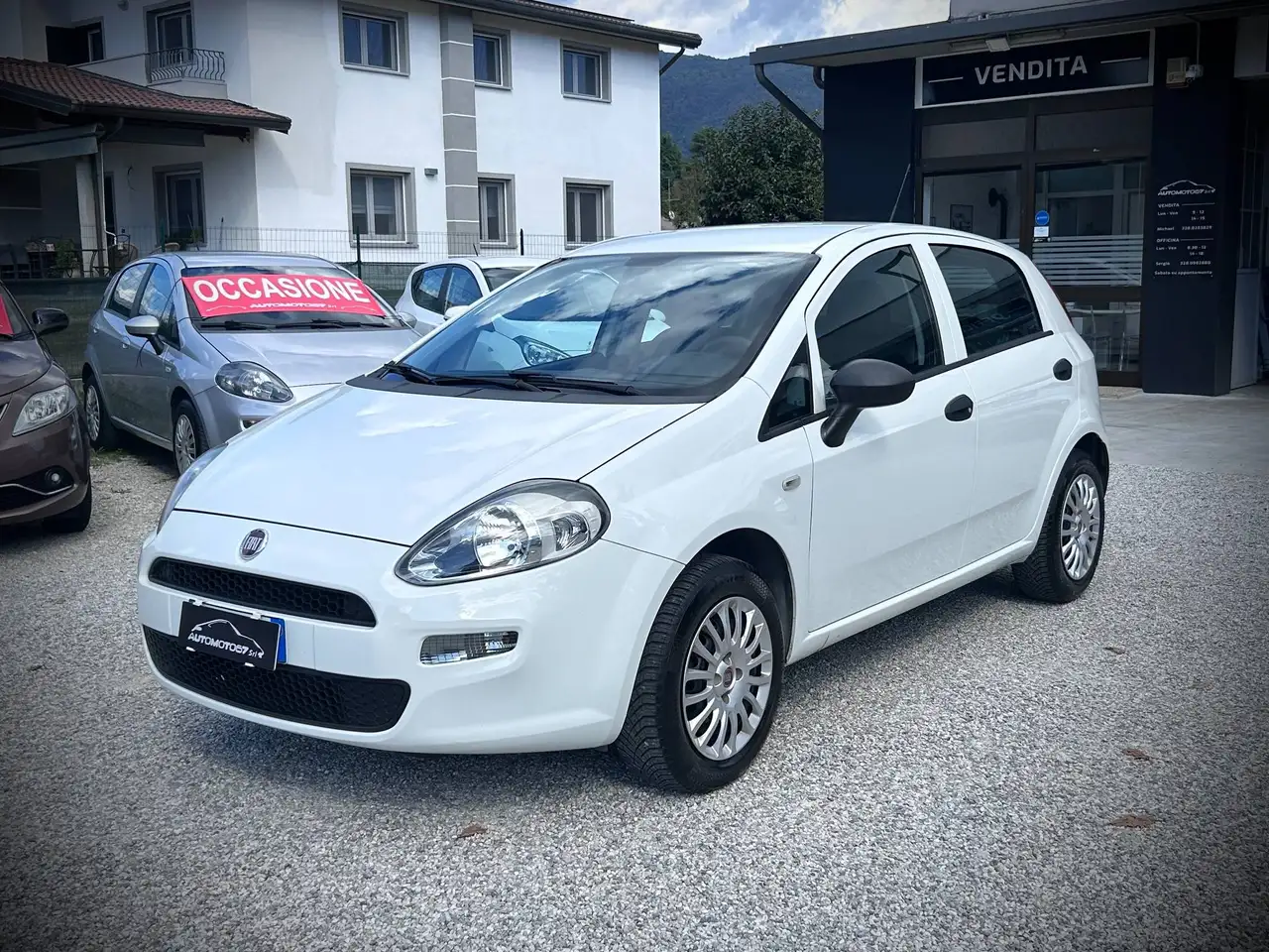 Fiat Punto 5p 1.2 Street-UNIPROPRIETARIO — photo 1 of 10