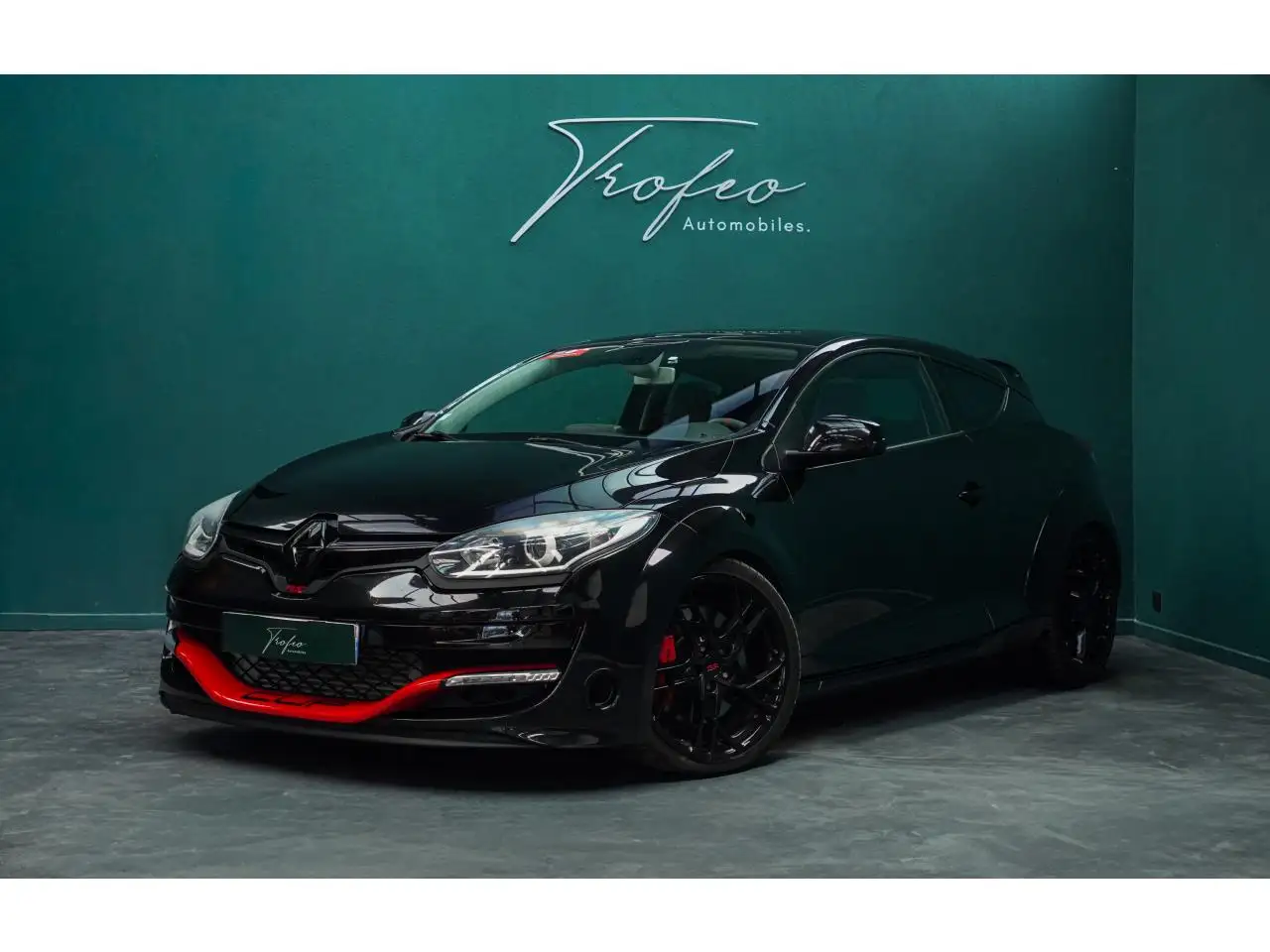 Renault Megane 3 RS 265ch PHASE 3 / Recaro cuir / Steeve / RS.Monitor — photo 1 of 19