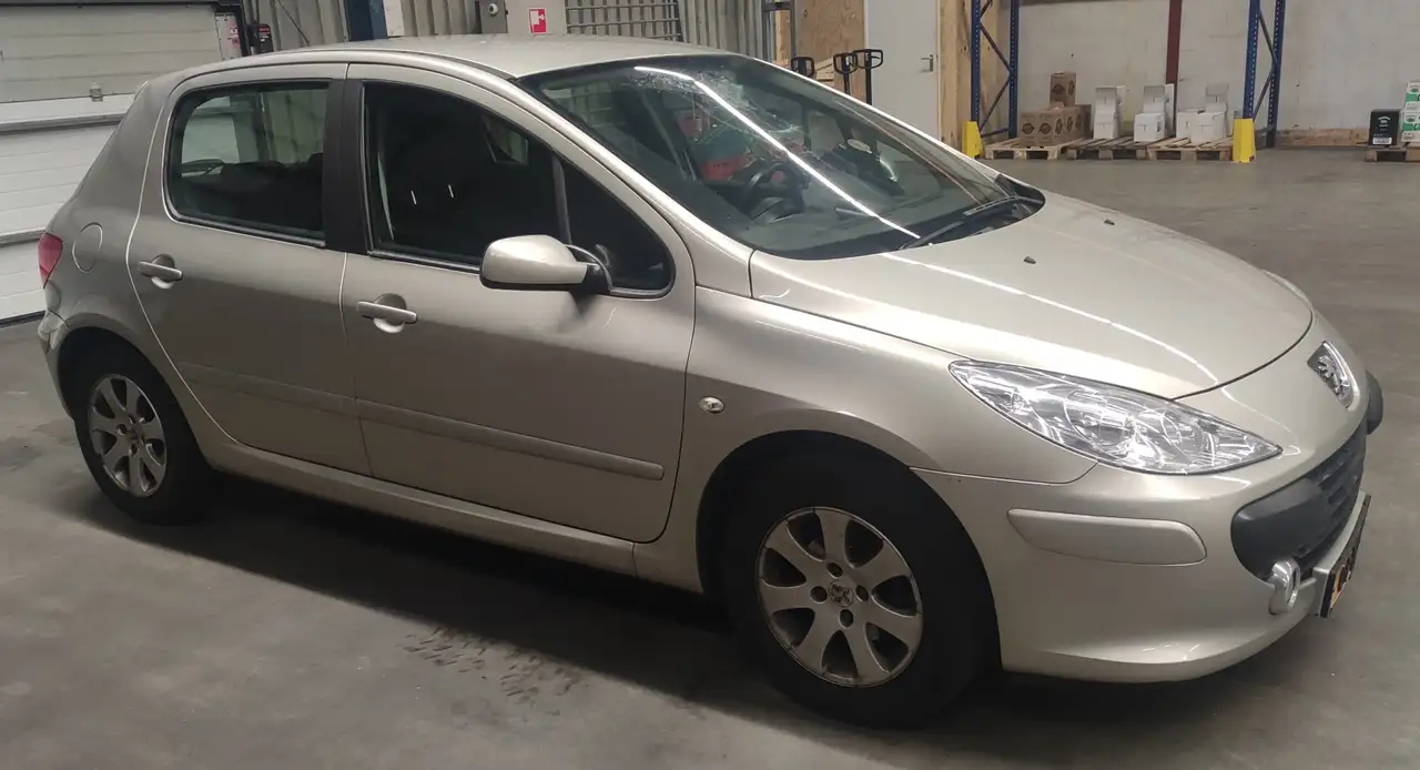 Peugeot 307 110 OXYGO — photo 1 of 15