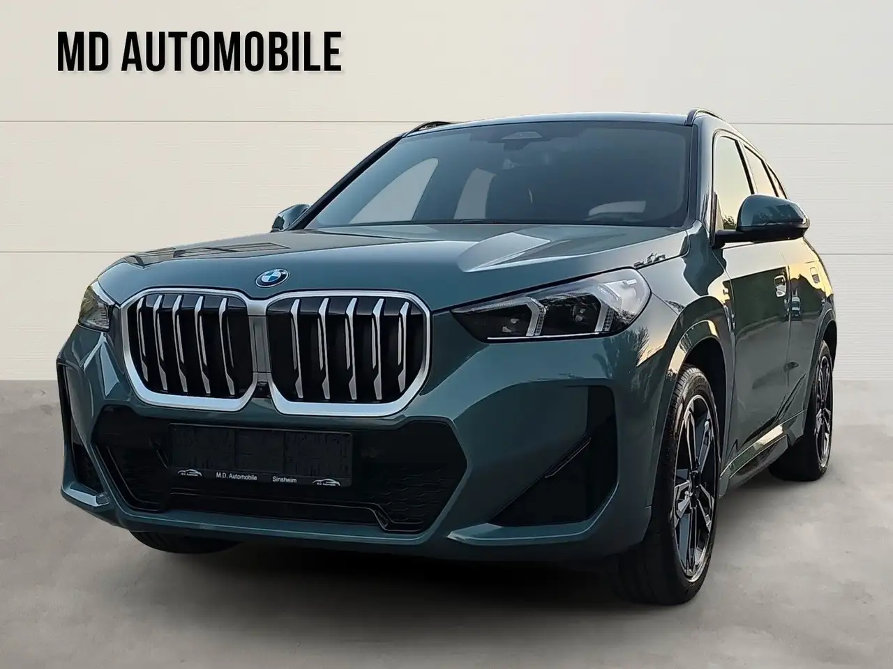 BMW X1 xDrive 23d M Sport Head-up AHG Innovation Pak — photo 1 of 20